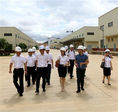 【不忘初心  牢记使命】赵伯廷到崇左市金品公司开展主题教育专题调研