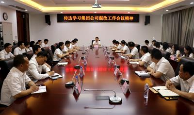 公司传达学习集团公司混合所有制改革相关会议精神