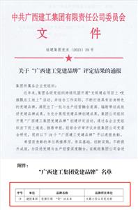 大都小贷公司党支部党建品牌获集团公司党委通报表彰